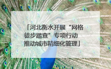河北衡水开展“网格徒步踏查”专项行动 推动城市精细化管理