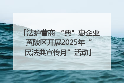 法护营商 “典”惠企业 黄陂区开展2025年“民法典宣传月”活动