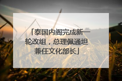 泰国内阁完成新一轮改组，总理佩通坦兼任文化部长