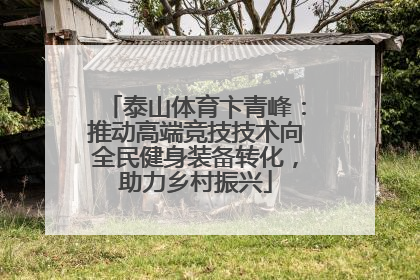 泰山体育卞青峰：推动高端竞技技术向全民健身装备转化，助力乡村振兴