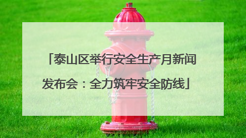 泰山区举行安全生产月新闻发布会：全力筑牢安全防线
