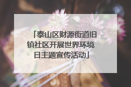 泰山区财源街道旧镇社区开展世界环境日主题宣传活动