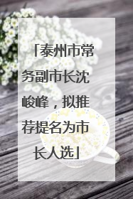 泰州市常务副市长沈峻峰，拟推荐提名为市长人选