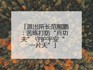 派出所长范鲲鹏：苦练打防“真功夫” 守护平安“一片天”