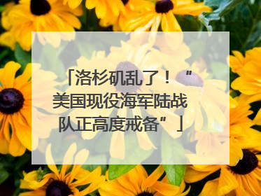洛杉矶乱了！“美国现役海军陆战队正高度戒备”