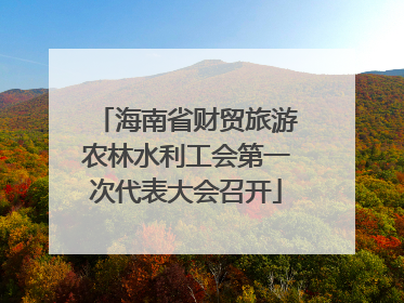 海南省财贸旅游农林水利工会第一次代表大会召开