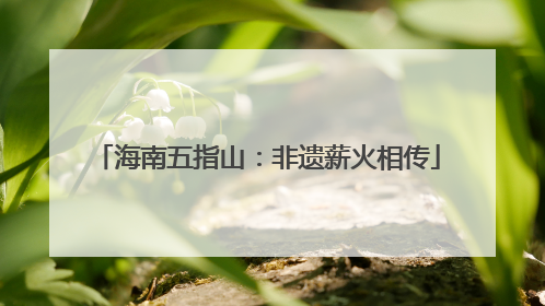海南五指山：非遗薪火相传