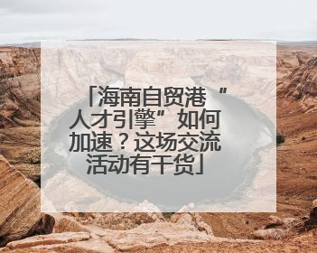 海南自贸港“人才引擎”如何加速？这场交流活动有干货