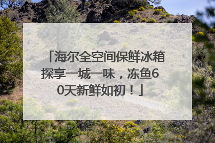 海尔全空间保鲜冰箱探享一城一味，冻鱼60天新鲜如初！