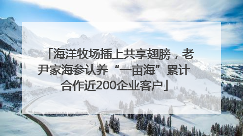 海洋牧场插上共享翅膀，老尹家海参认养“一亩海”累计合作近200企业客户