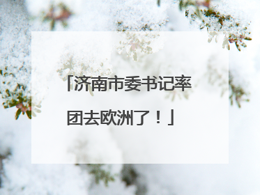 济南市委书记率团去欧洲了！