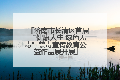济南市长清区首届“健康人生 绿色无毒”禁毒宣传教育公益作品展开展