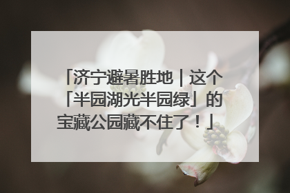 济宁避暑胜地｜这个「半园湖光半园绿」的宝藏公园藏不住了！