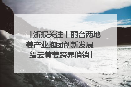 浙报关注丨丽台两地姜产业抱团创新发展 缙云黄姜跨界俏销