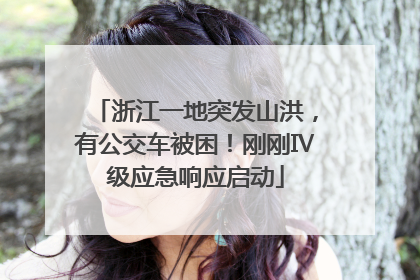 浙江一地突发山洪，有公交车被困！刚刚Ⅳ级应急响应启动