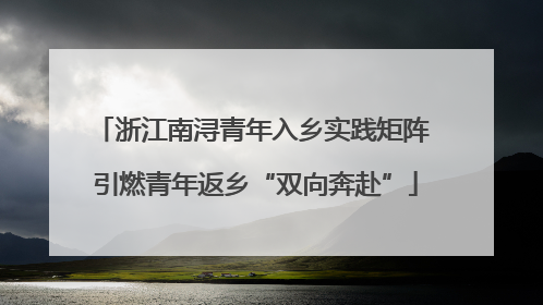 浙江南浔青年入乡实践矩阵 引燃青年返乡“双向奔赴”