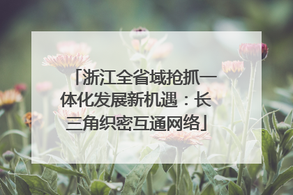 浙江全省域抢抓一体化发展新机遇：长三角织密互通网络