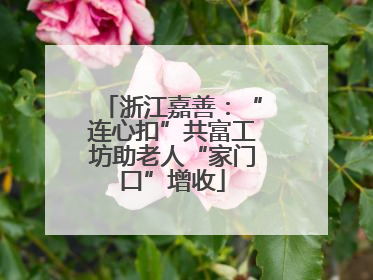 浙江嘉善：“连心扣”共富工坊助老人“家门口”增收