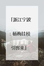 浙江宁波：杨梅挂枝引客来