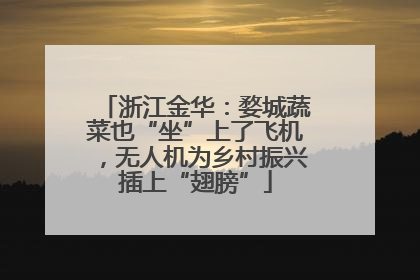 浙江金华：婺城蔬菜也“坐”上了飞机，无人机为乡村振兴插上“翅膀”