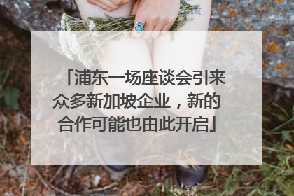 浦东一场座谈会引来众多新加坡企业，新的合作可能也由此开启