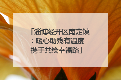淄博经开区南定镇：暖心助残有温度 携手共绘幸福路