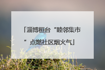 淄博桓台“睦邻集市”点燃社区烟火气