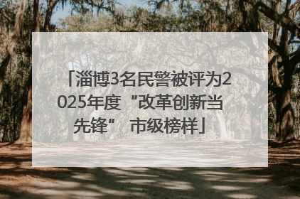 淄博3名民警被评为2025年度“改革创新当先锋” 市级榜样