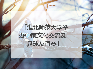 淮北师范大学举办中柬文化交流及足球友谊赛