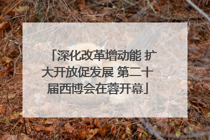 深化改革增动能 扩大开放促发展 第二十届西博会在蓉开幕