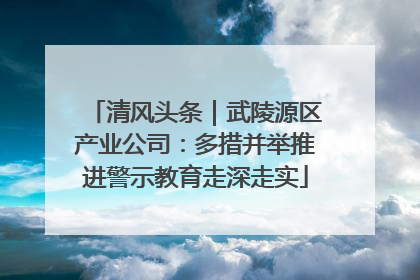 清风头条｜武陵源区产业公司：多措并举推进警示教育走深走实