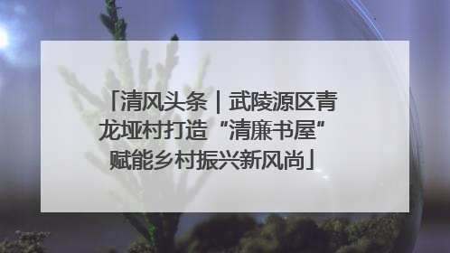 清风头条｜武陵源区青龙垭村打造“清廉书屋”赋能乡村振兴新风尚