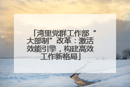 湾里党群工作部“大部制”改革：激活效能引擎，构建高效工作新格局