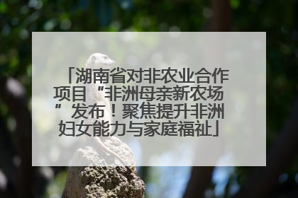 湖南省对非农业合作项目“非洲母亲新农场”发布！聚焦提升非洲妇女能力与家庭福祉