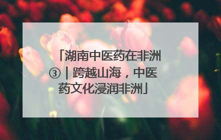 湖南中医药在非洲③｜跨越山海，中医药文化浸润非洲