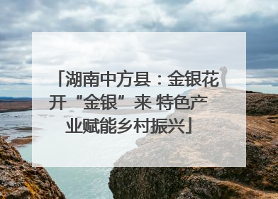 湖南中方县：金银花开“金银”来 特色产业赋能乡村振兴