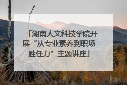 湖南人文科技学院开展“从专业素养到职场胜任力”主题讲座