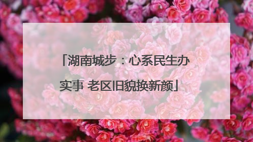 湖南城步：心系民生办实事 老区旧貌换新颜