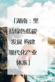 湖南：坚持绿色低碳发展 构建现代化产业体系