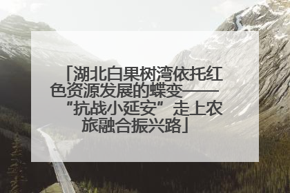 湖北白果树湾依托红色资源发展的蝶变——“抗战小延安”走上农旅融合振兴路