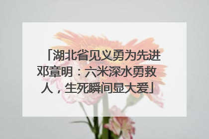 湖北省见义勇为先进邓章明：六米深水勇救人，生死瞬间显大爱