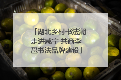 湖北乡村书法潮走进咸宁 共商李邕书法品牌建设