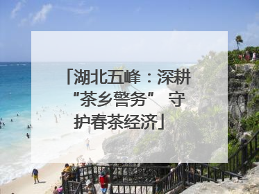湖北五峰：深耕“茶乡警务” 守护春茶经济