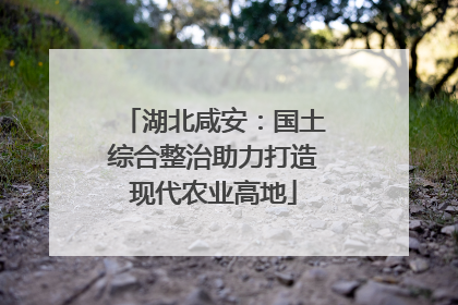 湖北咸安：国土综合整治助力打造现代农业高地
