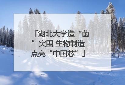 湖北大学造“菌”突围 生物制造点亮“中国芯”