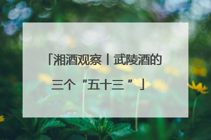 湘酒观察丨武陵酒的三个“五十三 ”