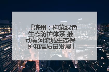 滨州：构筑绿色生态防护体系 推动黄河流域生态保护和高质量发展