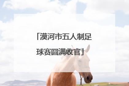漠河市五人制足球赛圆满收官
