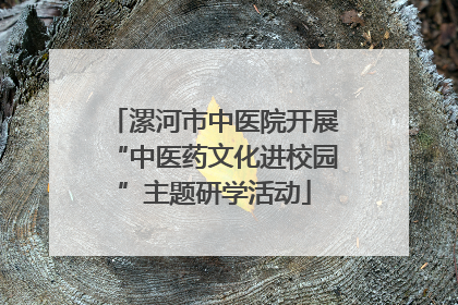 漯河市中医院开展“中医药文化进校园”主题研学活动