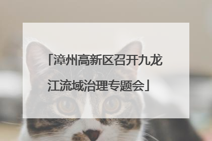漳州高新区召开九龙江流域治理专题会